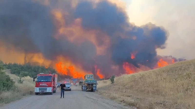 Tekirdağ’daki orman yangını kontrol altına alındı
