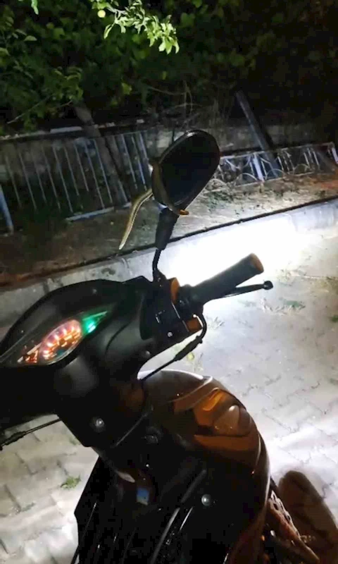 Kütahya’da park halindeki motosiklette yılan paniği
