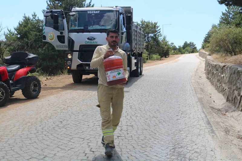 Çamlık Milli Parkı’na tedbir amaçlı su bırakıldı
