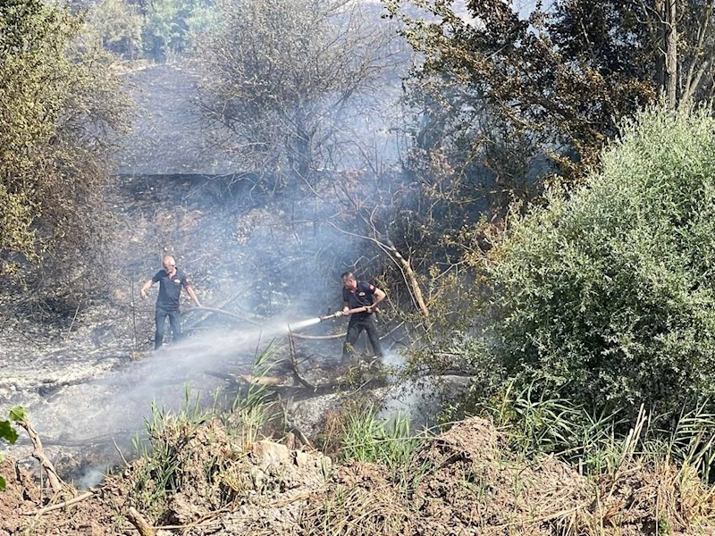 Taşınburnu mevkiindeki orman yangında soğutma çalışmaları sona erdi
