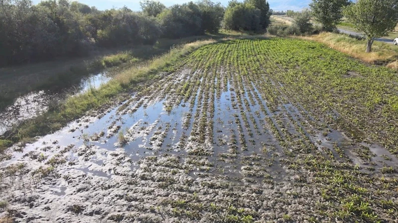 Erzincan’da çiftçilerin kanal isyanı: 