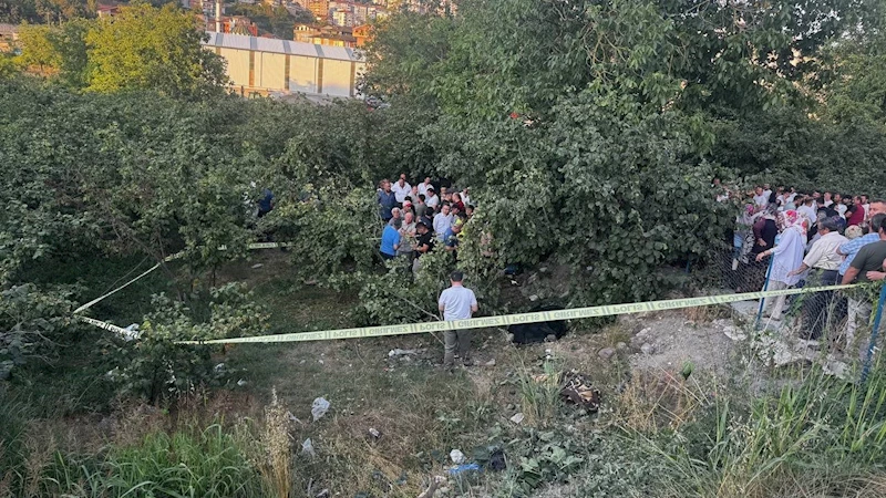 Zonguldak’ta kamyonet fındık bahçesine uçtu: Araçtan fırlayan sürücü öldü
