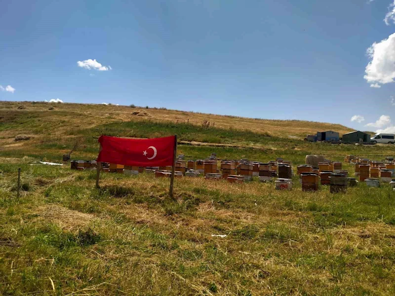Ağrı ay yıldızlı bayraklarla donatıldı
