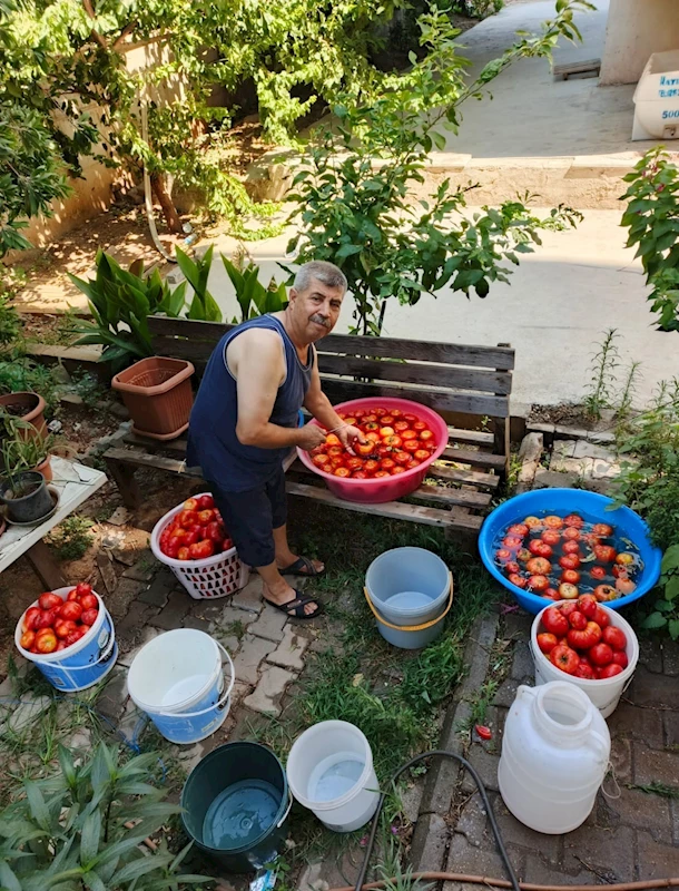 Aydın’da salça yapım telaşı başladı
