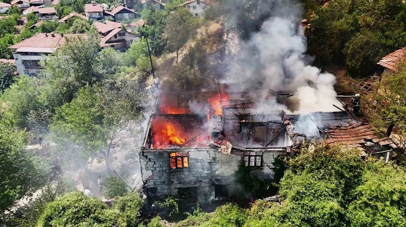 Otluk alanda sıçrayan yangın iki katlı evi kül etti
