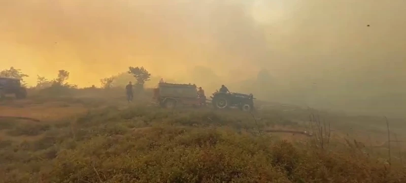 Gebze’deki orman yangınını söndürme çalışmaları sürüyor
