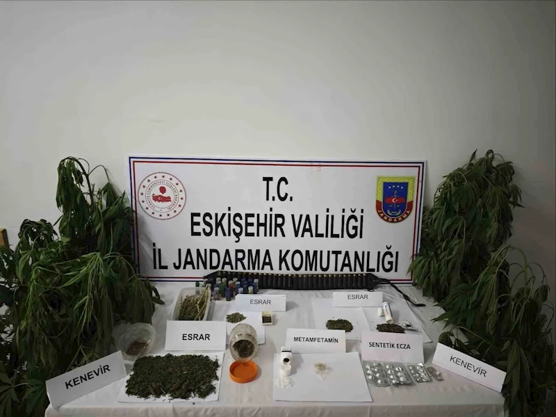 Kenevir bitkisi ekimi yapılan ikamete operasyon düzenledi
