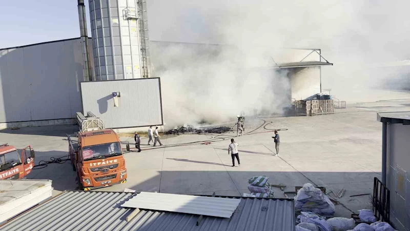 Mobilya üretim fabrikasında yangın: Ekipler, söndürmek için seferber oldu
