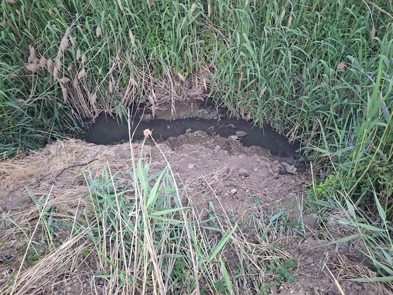 Dereye akan lağım suyu, mahalleliyi nefes alamaz hale getirdi

