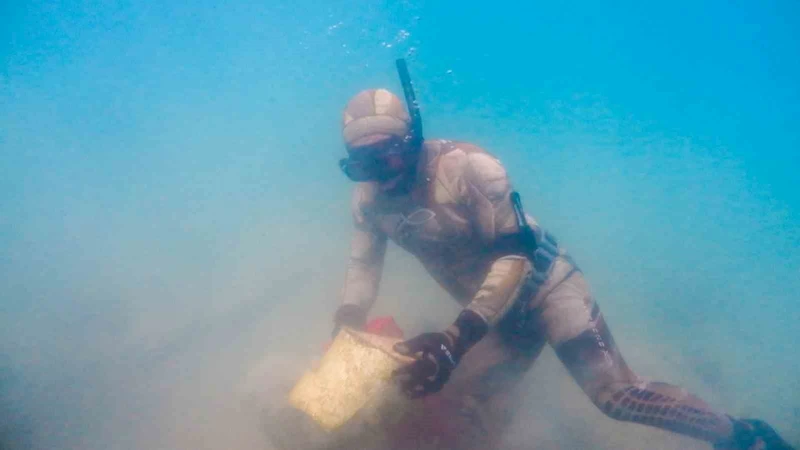 Bodrum’un engin maviliğinde temizlik devam ediyor
