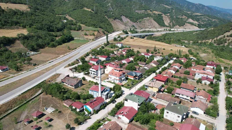 İmamın girişimiyle cami adeta çiçek serasına dönüştü
