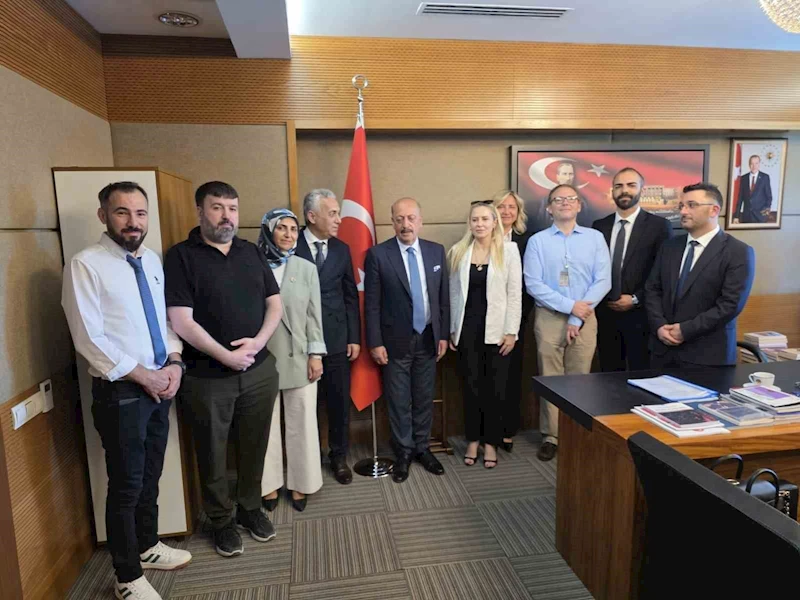 ‘Sigma formülü yönetmeliği’ Anayasa Mahkemesi gündeminde
