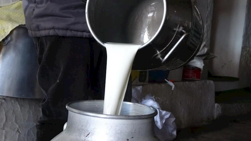 Çiğ süt fiyatları belli oldu
