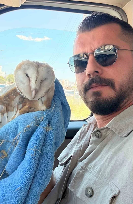 Adıyaman’da bitkin halde Bayağı Peçeli Baykuş bulundu
