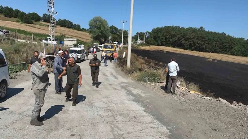 1 yıllık emek kül oldu, orman son anda kurtarıldı
