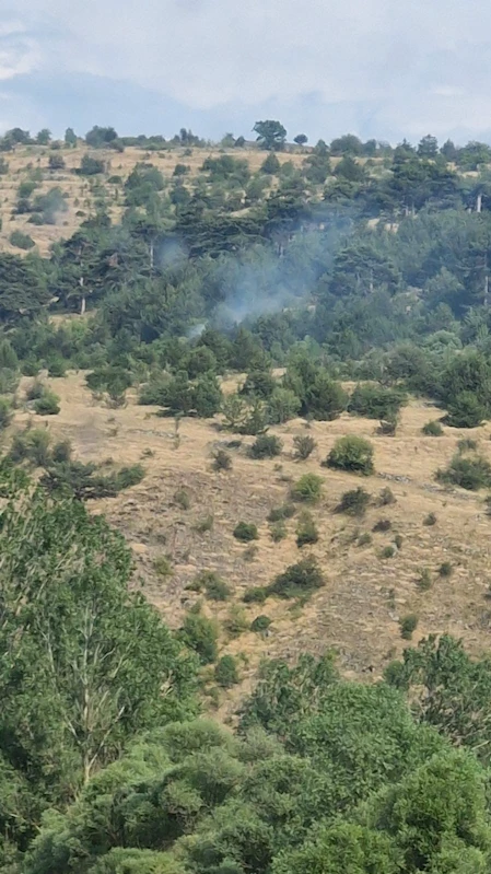 Bolu’da yıldırım kaynaklı çıkan yangınlar söndürüldü
