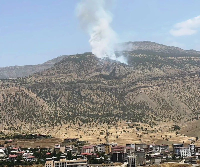 Hakkari’de orman yangını
