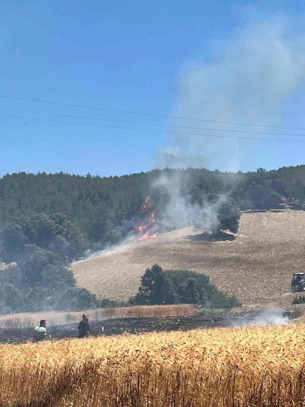 Gediz’de ekiplerin orman yangınıyla mücadelesi sürüyor

