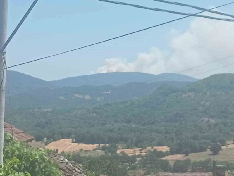 Bursa’da orman yangını: Havadan ve karadan müdahale ediliyor
