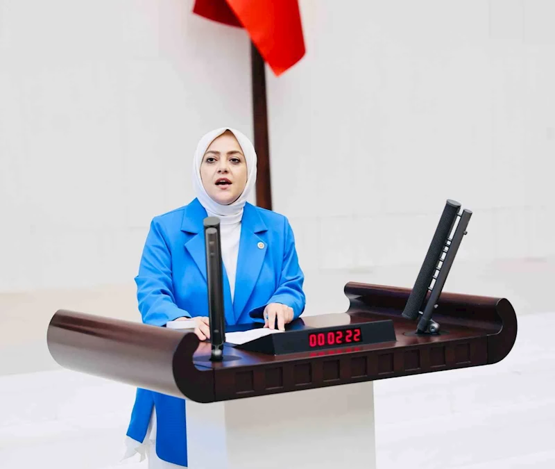 Milletvekili Ün; 