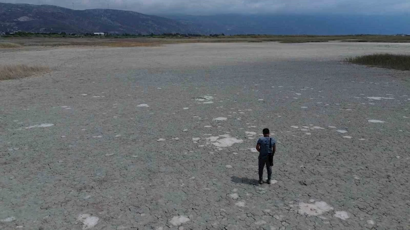 Kuraklığın etkisiyle çöle dönen Milleyha’da kuş gözlemcileri gelecekten ümitli
