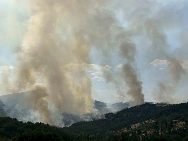 Uşak’taki orman yangınına havadan ve karadan müdahale devam ediyor

