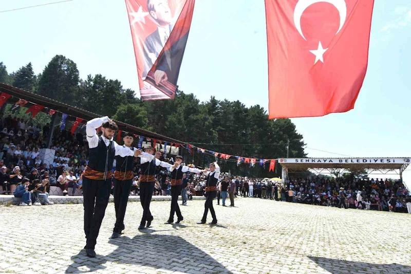 Gurbetçiler festivalde hasret giderdi
