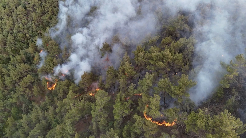 Karabük’te orman yangınına müdahale 6 saattir aralıksız sürüyor
