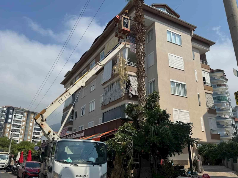 Alanya Belediyesi ve AEDAŞ’dan yangın riskine karşı önlem
