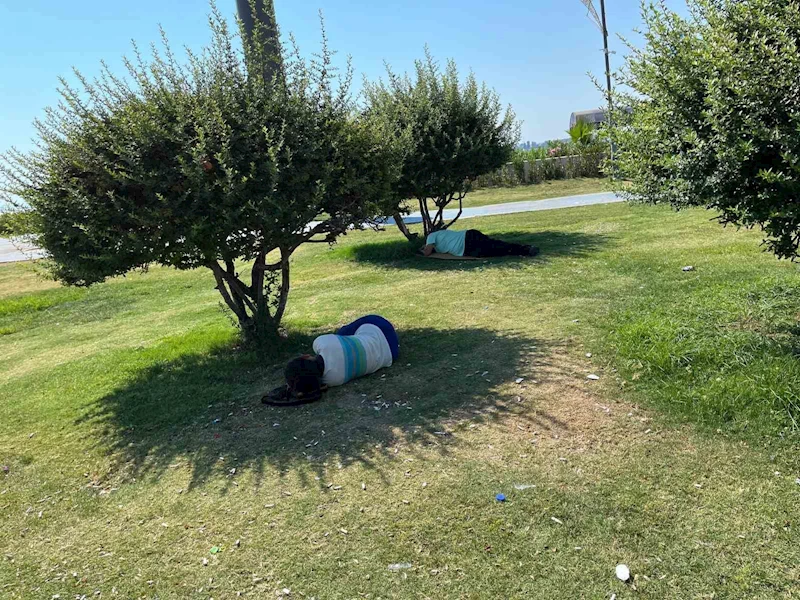 İzmir’de sıcak hava bunalttı, vatandaşlar ağaç gölgelerine kaçtı

