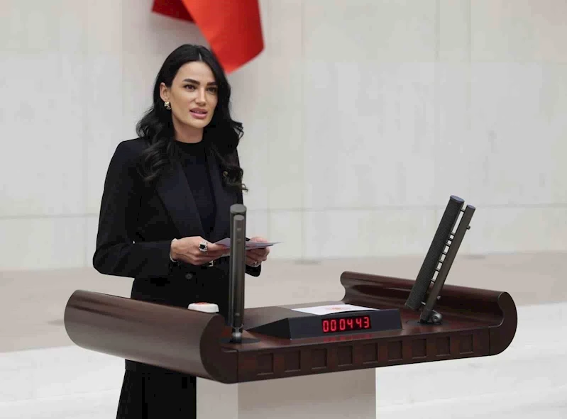 AK Parti Aydın Milletvekili Sarıbaş: 
