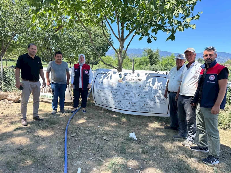 Düzce’de üretilen dondurma kavunları Antalya pazarlarında
