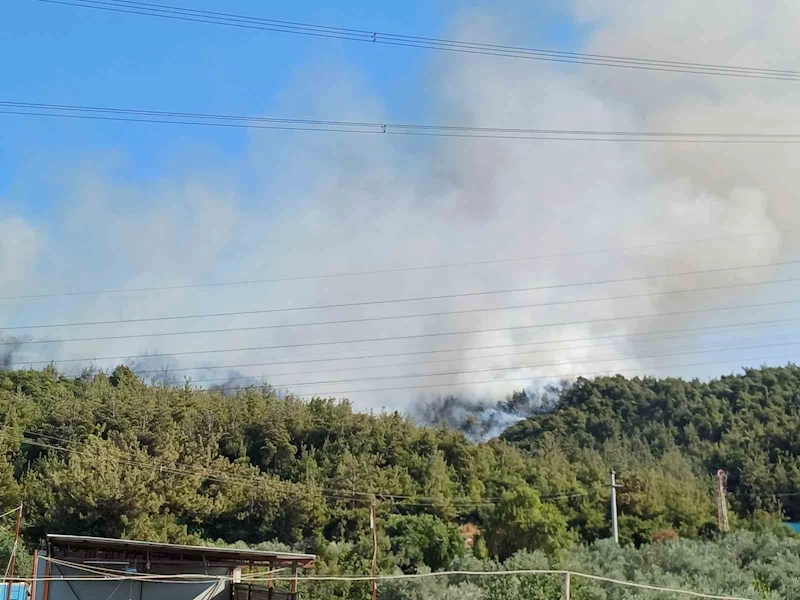Manisa’da orman yangını
