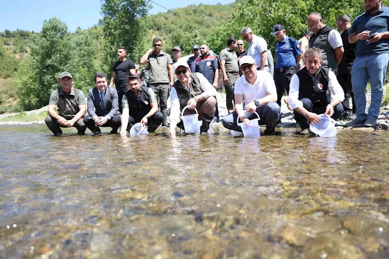 Düzce’de 20 bin benekli alabalık salındı

