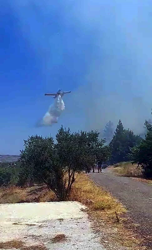 Menteşe Fadıl mahallesinde orman yangını
