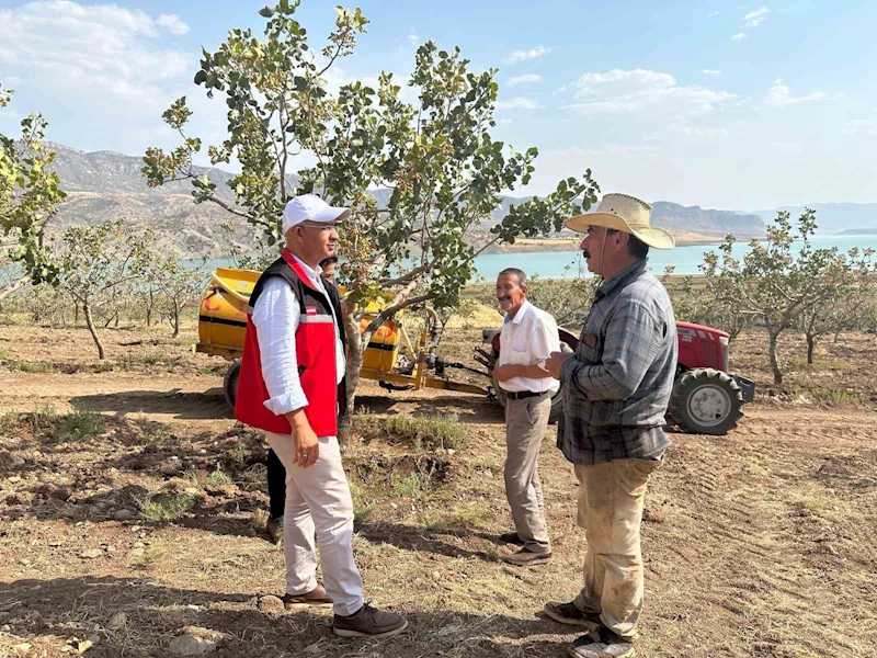 Siirt’te fıstık bahçelerinde aşırı sıcaklık alarmı
