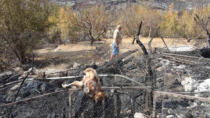Silifke’deki orman yangını büyük ölçüde kontrol altına alındı

