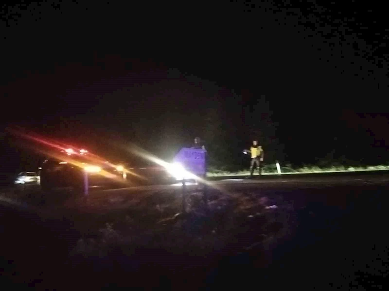 Elektrik tellerine çarpan kuş yangına sebep oldu
