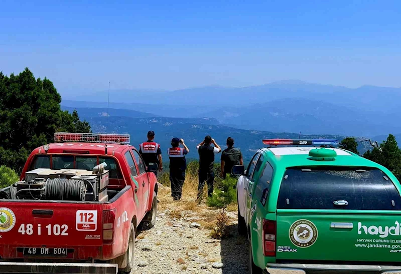 Muğla oranlarında 24 saat nöbet
