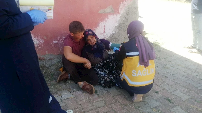 Komşusunun odunluğunun yanışını gören yaşlı kadın panikleyip baygınlık geçirdi
