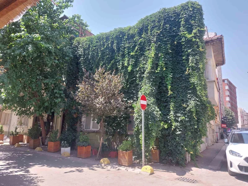 Eskişehir’de doğa, evle bütünleşti
