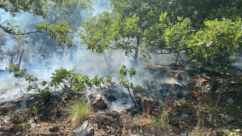 Osmaniye’nin Düziçi ilçesinde orman yangını başladı
