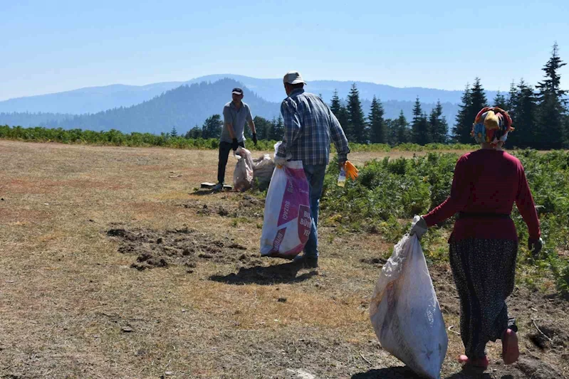 Sakarya’da yangınlar sonrası temizlik: Ormandan çıkanlar şaşırttı
