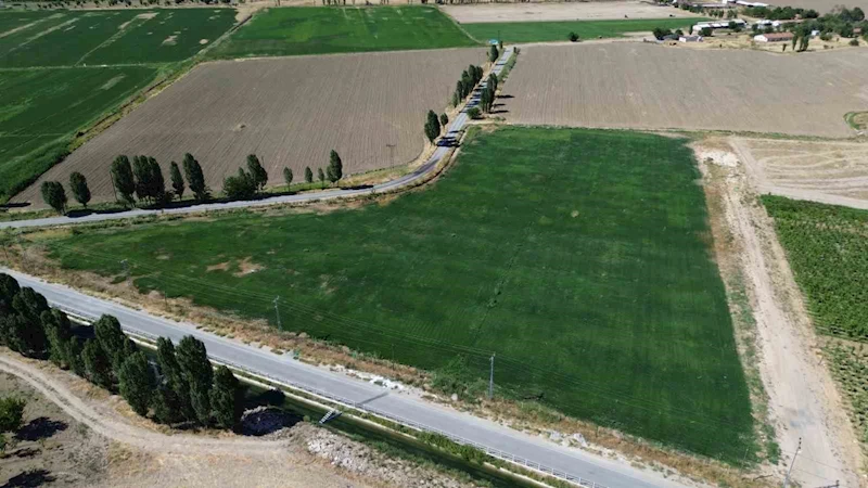 Battalgazi’de yerli üretimle yeşil alan seferberliği
