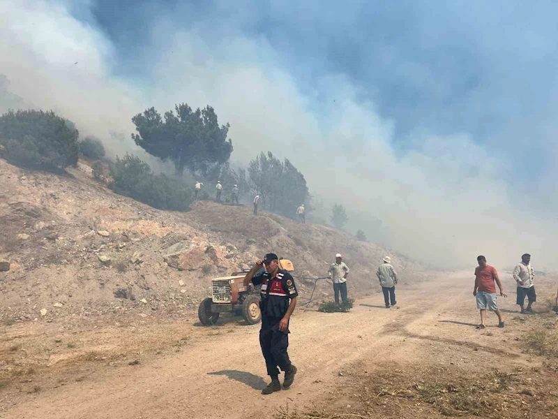 Manisa’daki orman yangını kontrol altına alındı
