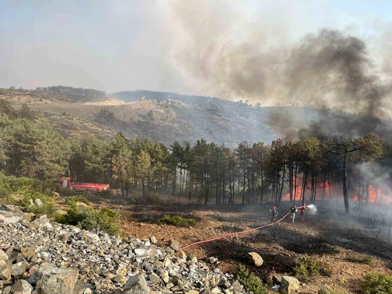 Kocaeli’den Bursa’daki orman yangınına söndürme desteği
