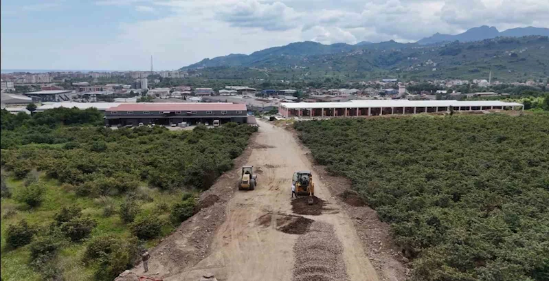 Ordu’da alternatif yollar ile trafik rahatlatılıyor
