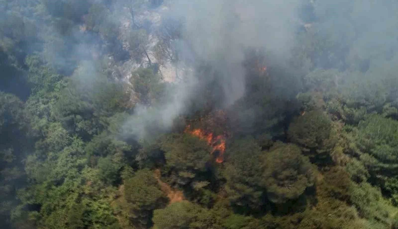 Sultangazi Kent Ormanı’nda yangın: İtfaiye ekipleri alevlere müdahale ediyor
