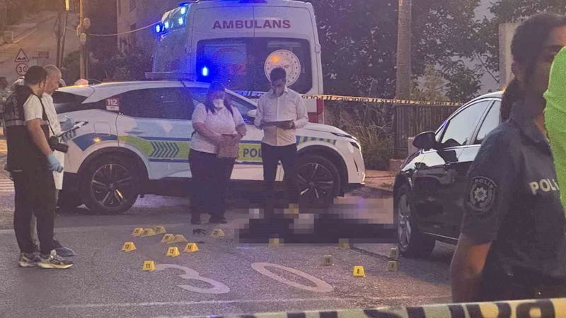 Sokak ortasında çifte cinayet: Baba ve oğul hayatını kaybetti
