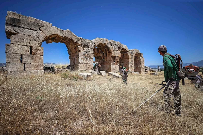 Laodikya yangın riskine karşı otlardan temizledi

